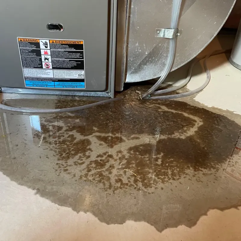 Appliance Leak Cleanup in Newbury, NH